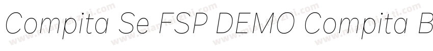 Compita Se FSP DEMO Compita BoldmiB字体转换
